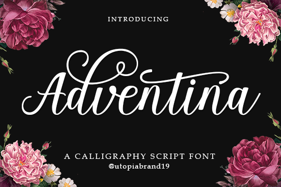 Adventina Script: Crafting Elegance in Every Letter