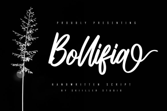 Discover the Elegance of Bollifia Script for Your Projects