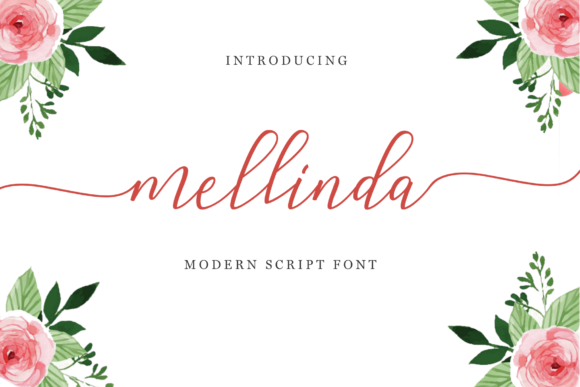 Discover the Sweet Elegance of Mellinda Script