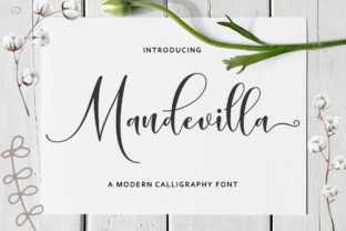 Mandevilla Script: Crafting Designs with Sweet, Charming Flair