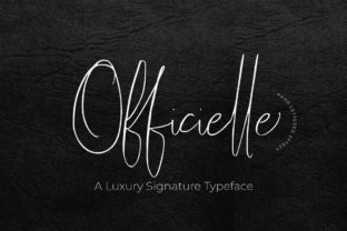 Officielle Script: A Modern Handwritten Typeface