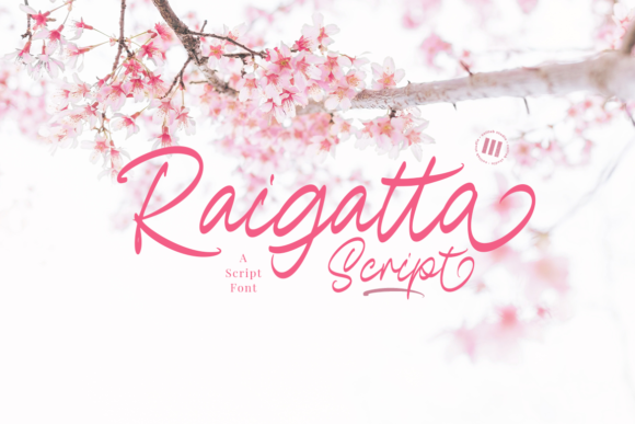 Raigatta Script: A Modern Cursive for Creative Projects